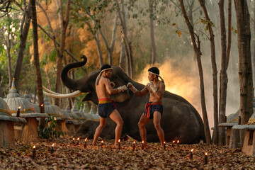 Muay Thai Fighters Training Beside Elephant in Forest Temple. Traditional Martial Arts Practice in...