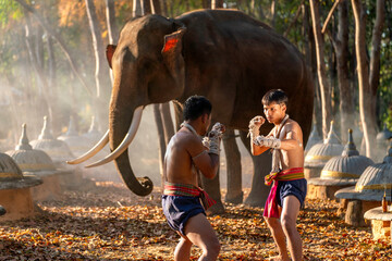 Authentic Muay Thai fighters with elephant in Surin forest. Cultural local sports scene from...
