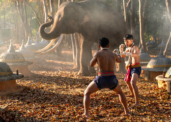 Authentic Muay Thai fighters with elephant in Surin forest. Cultural local sports scene from...