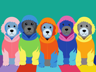 Five Cute Dogs Wearing Colorful Hoodies Sitting Together