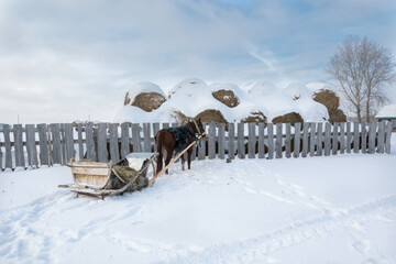 Horse and sleigh