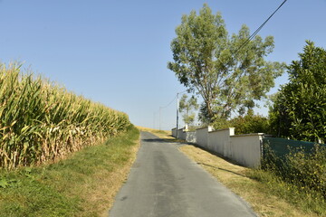 Route de campagne sous un ciel bleu près du bourg de Champagne au Périgord Vert  © Photocolorsteph