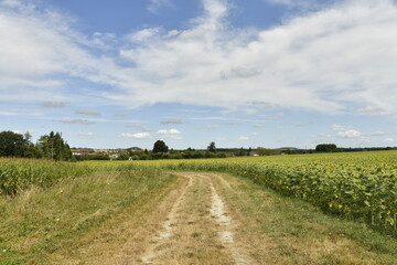 Chemin pour les engins agricoles Près du bourg de Champagne au Périgord Vert   © Photocolorsteph