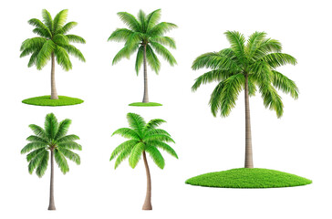 Collection of green palm tree illustrations bundle
