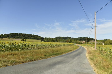 Route de campagne sous un ciel bleu près du bourg de Champagne au Périgord Vert  © Photocolorsteph