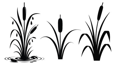 Cattail Vector Icon Set Reed Plant Silhouettes