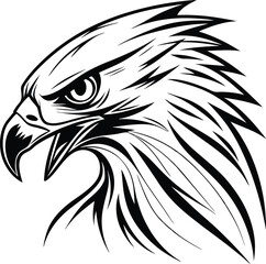 eagle head vector illustration