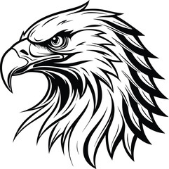 eagle head vector illustration