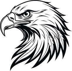 eagle head vector illustration