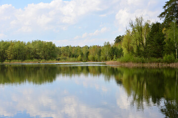 A tranquil lake scene reflecting the sky and surrounding trees