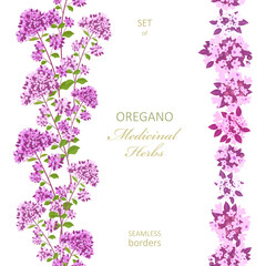 collection of seamless vertical borders with wildflowers origanum. set of frame with medicinal plant wild marjoram