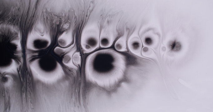 Dye blot. Wet blob. Black splotch paint drop on white acrylic flow. Art blending gray stream abstract explosion dissolve blur background.