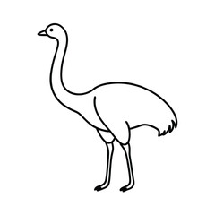 Ostrich vector line art