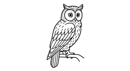 Fototapeta premium Stylized Line Art Illustration of a Majestic Owl