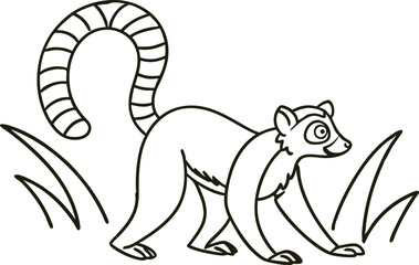 Ring Tailed Lemur Outlined Animal Vector Illustration Wildlife Graphic Art