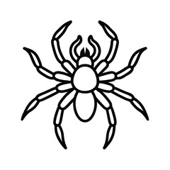 Tarantula vector line art