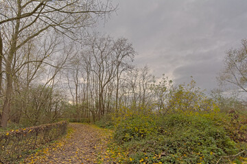 hiking trail through an autumn marsh landscape in Bourgoyen nature reserve, Ghent, Flanders,...
