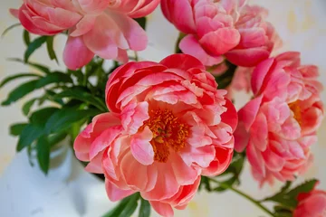 Fototapete Pfingstrosen Pfingstrosen-Strauß  © E. Schittenhelm