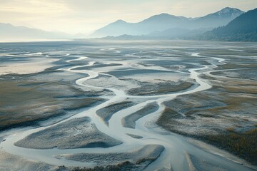 Aerial view of a serene tidal flat landscape with meandering waterways and mountains in the background.