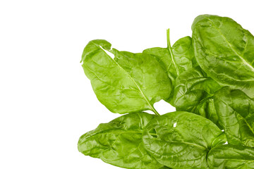 green fresh spinach leaves in border corner frame isolated on white or transparent png