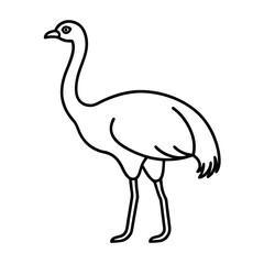 Ostrich vector line art
