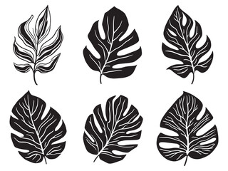 Maranta leaf line art botanical vector illustration