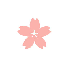 cherry blossom vector icon