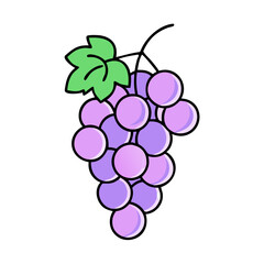 Illustration of grapes fruit, purple grapes, bunch of grapes, fruit grapes, fresh grapes, food
