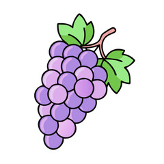 Illustration of grapes fruit, grape bunch, healthy food, purple grapes, sweet grapes, vine grapes art