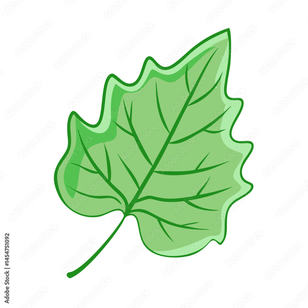 Poster isolated green leaf vector illustration for nature design and botanical element graphics use