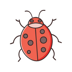 Isolated ladybug vector illustration, cute ladybug drawing, insect clip art, red bug graphic design