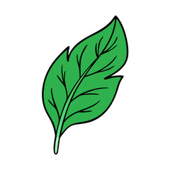 Illustration of a green leaf plant leaf nature leaf vector leaf design leaf art leaf drawing leaf icon