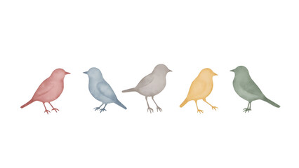 Obraz premium Minimalist Watercolor Bird Silhouettes in Soft Pastel Tones on White Background