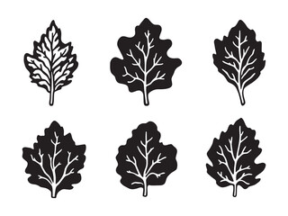 Minimalist Arugula Greenery Line Drawing for Organic Themes