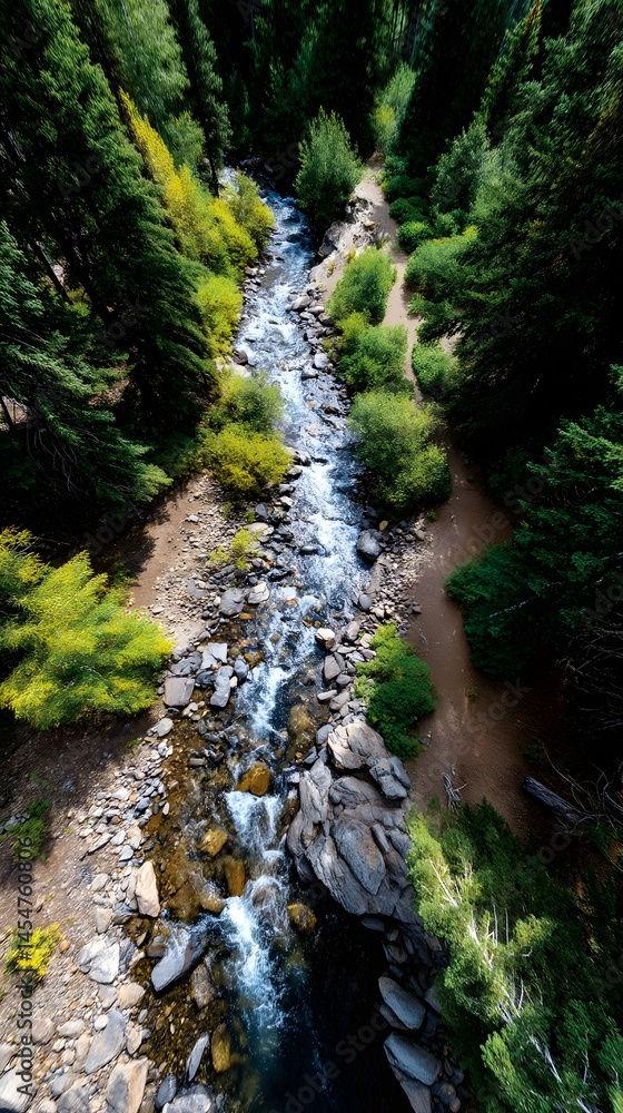 Poster gentle stream flowing through a dense forest with sunlight filtering through the trees
