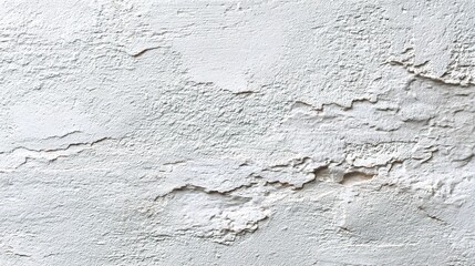 Obraz premium Organic Texture of White Concrete Wall with Natural Imperfections