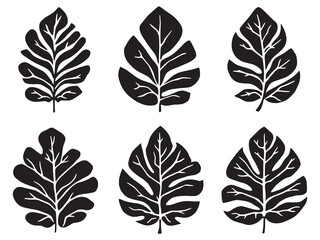 minimalist breadfruit vector illustration organic design