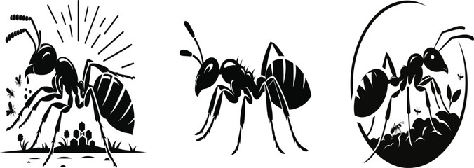  Minimalist Ant Vector Design for Creative Projects

