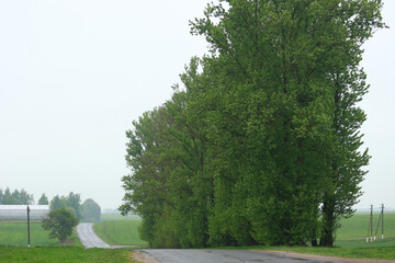 The road through the European village