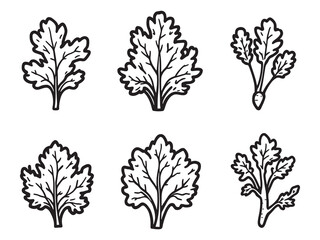 Minimalist Carrot Leaf Outline Vector for Design