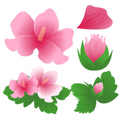 Patriots and Veterans Month Korea Flower 호국보훈의 달 대한민국 꽃 무궁