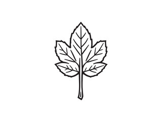 Minimalist chestnut leaf contour sketch design