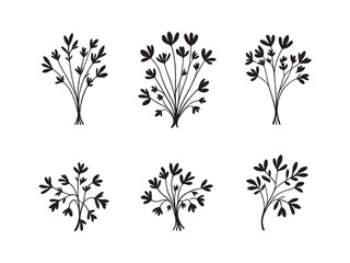 Minimalist chive leaf drawing in vintage line style