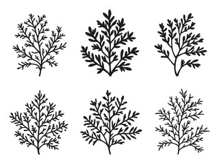 Minimalist Dill Leaf Sketch in Fine Line Art Style