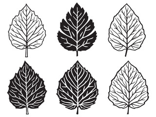 Minimalist Guava Leaf Line Drawing Perfect for Nature Illustrations