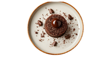 A delicious chocolate dessert on a plate with chocolate shavings and chocolate pieces around it