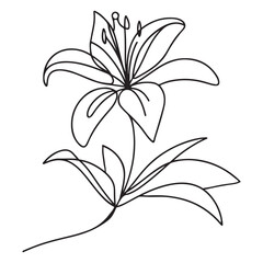 Refined Outline Illustration of a Lily Flower Bloom with Leaves