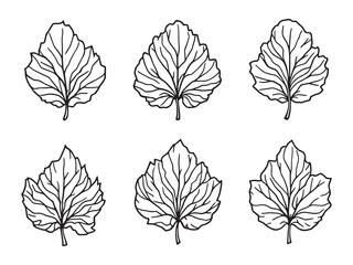 Minimalist Larkspur Leaf Drawing for Creative Projects