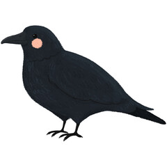 Cute children's book style crow