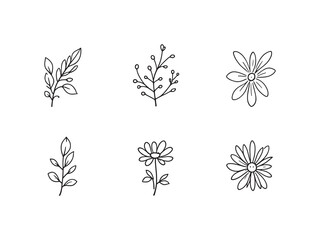 Minimalist Line Art of a Daisy Leaf Perfect for Graphic Projects